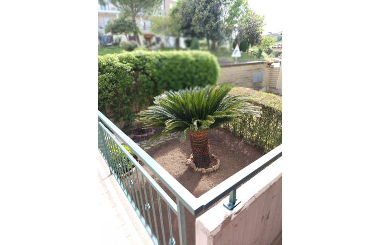 casa indipendente in vendita a Cupello