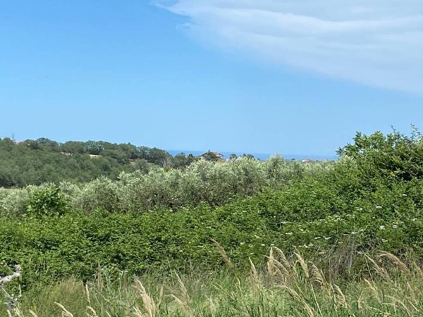 terreno agricolo in vendita a Cupello