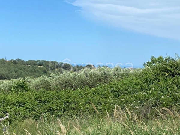 terreno agricolo in vendita a Cupello