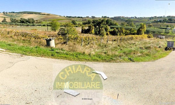 terreno agricolo in vendita a Cupello