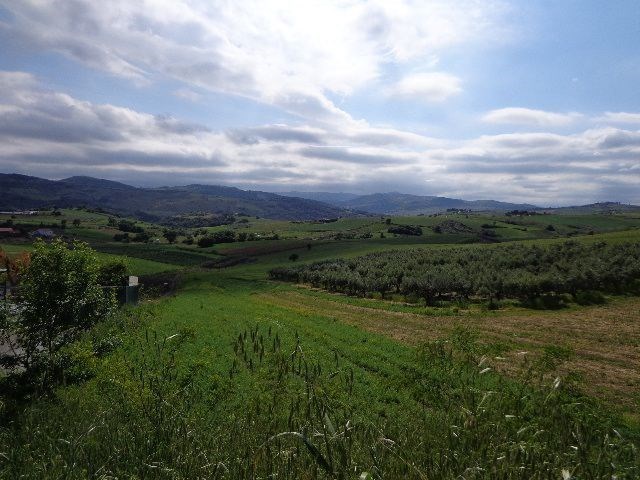 terreno agricolo in vendita a Cupello