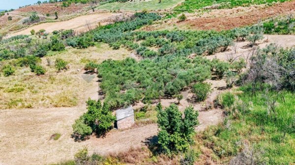 terreno agricolo in vendita a Cupello