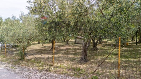 terreno edificabile in vendita a Cupello in zona Ributtini