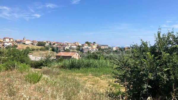 terreno agricolo in vendita a Cupello