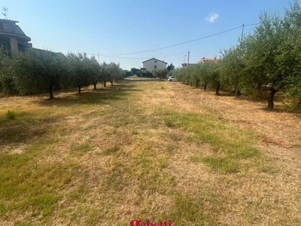terreno agricolo in vendita a Cupello in zona Ributtini