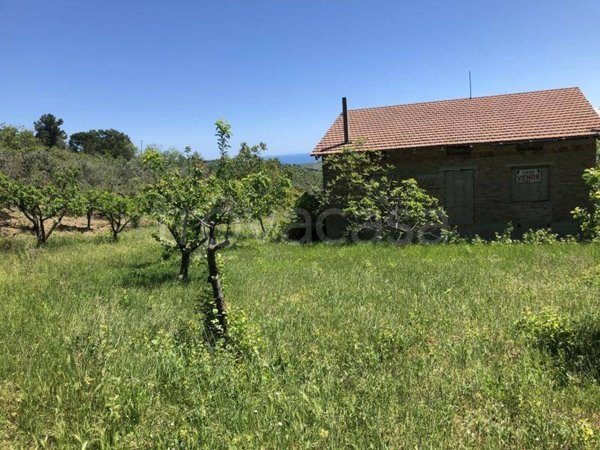 casa indipendente in vendita a Cupello in zona Ributtini