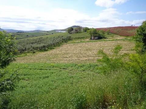 terreno agricolo in vendita a Cupello in zona Ributtini