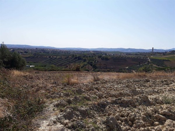 terreno agricolo in vendita a Cupello in zona Ributtini