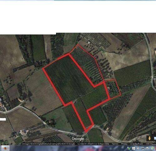 terreno agricolo in vendita a Cupello in zona Ributtini