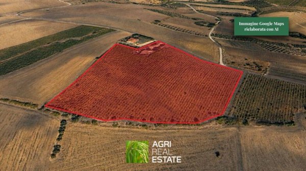 terreno agricolo in vendita a Cupello in zona Ributtini