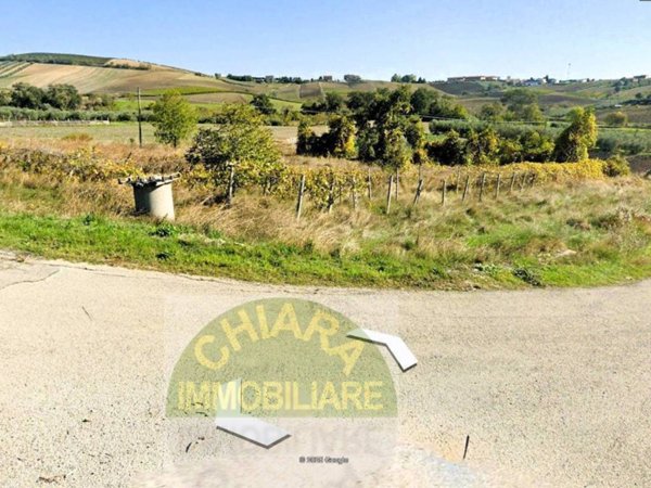 terreno agricolo in vendita a Cupello in zona Ributtini