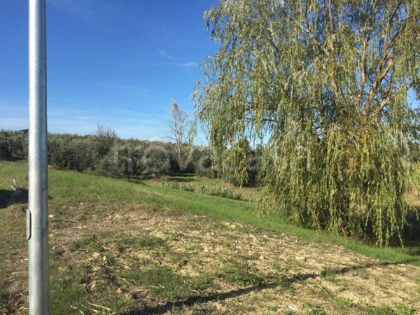 ufficio in vendita a Cupello in zona Ributtini