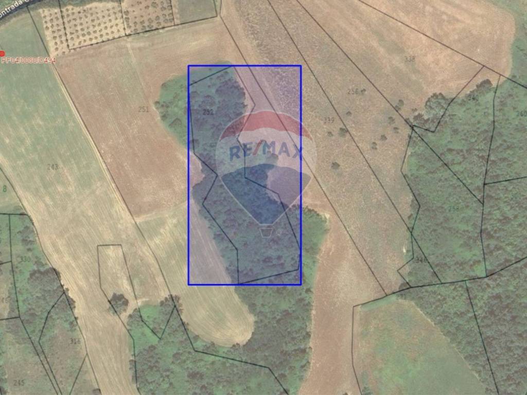 terreno agricolo in vendita a Fara Filiorum Petri