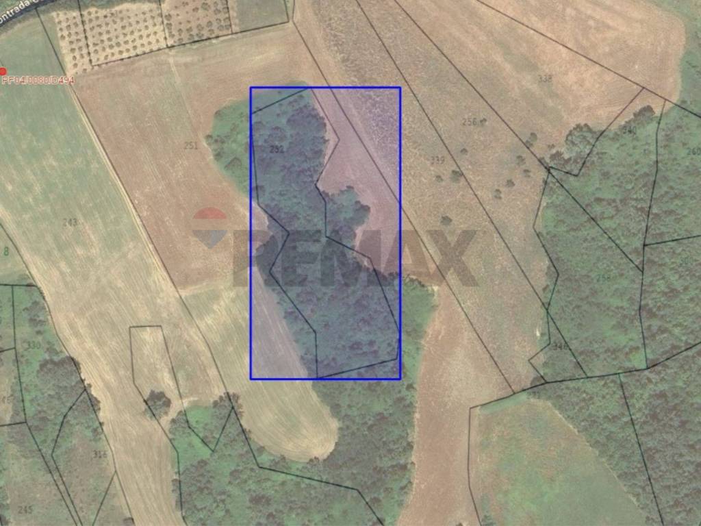 terreno agricolo in vendita a Fara Filiorum Petri