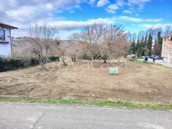 terreno agricolo in vendita a Fara Filiorum Petri