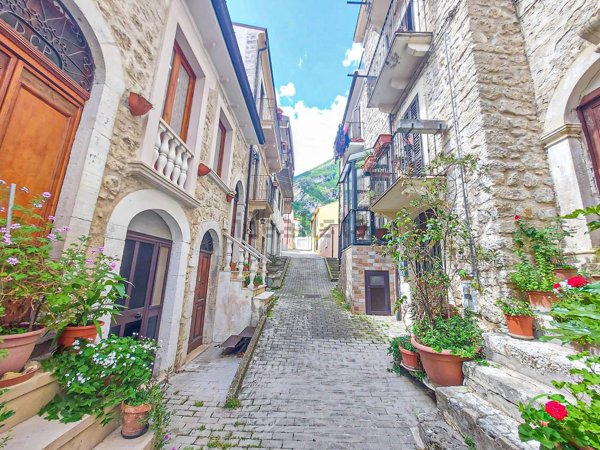 esavano in vendita a Fara San Martino