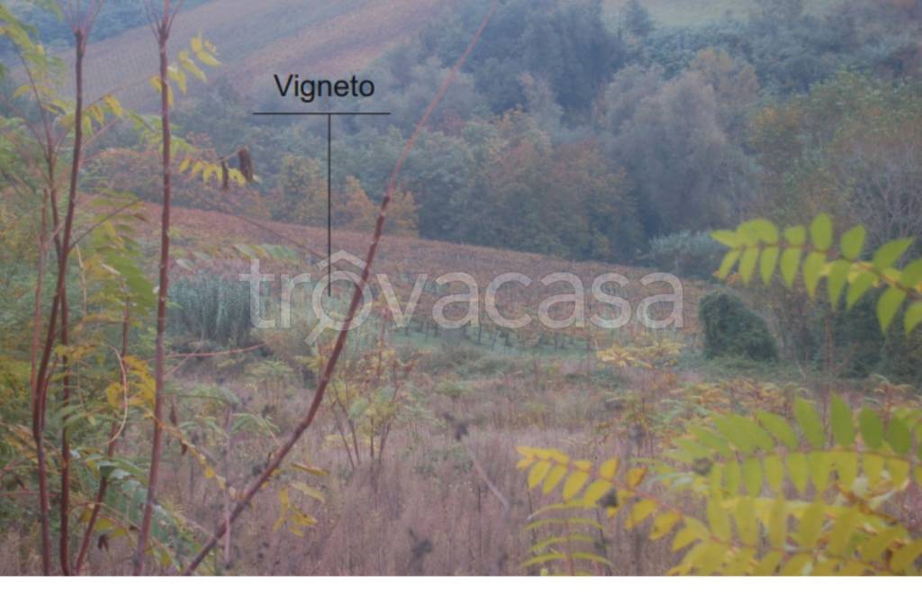 rudere in vendita a Filetto