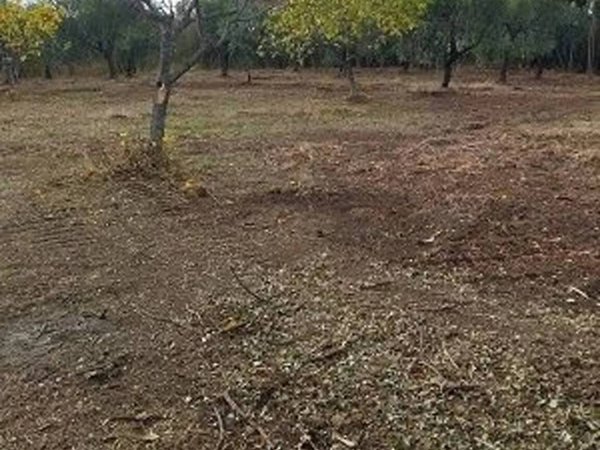 terreno agricolo in vendita a Filetto