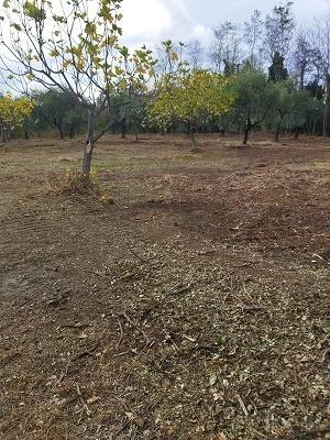 monolocale in vendita a Filetto