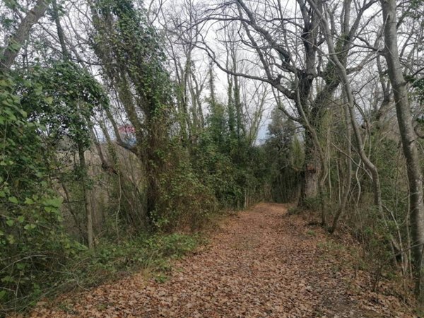 terreno agricolo in vendita a Filetto