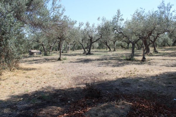 casa indipendente in vendita a Fossacesia in zona Villa Scorciosa