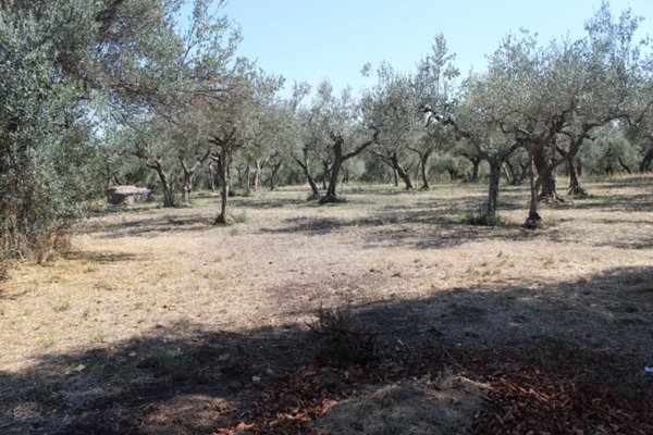 casa indipendente in vendita a Fossacesia in zona Villa Scorciosa