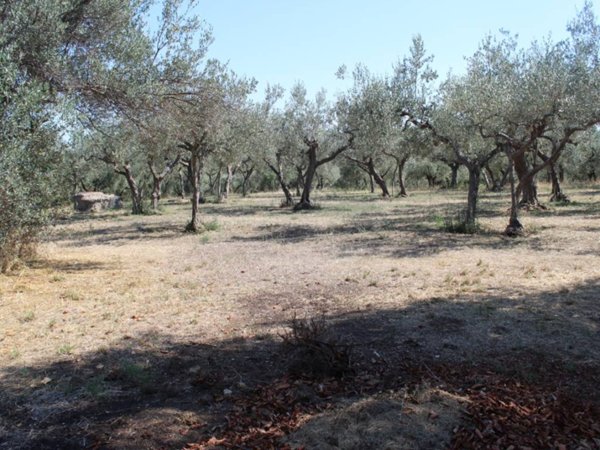 casa indipendente in vendita a Fossacesia in zona Villa Scorciosa