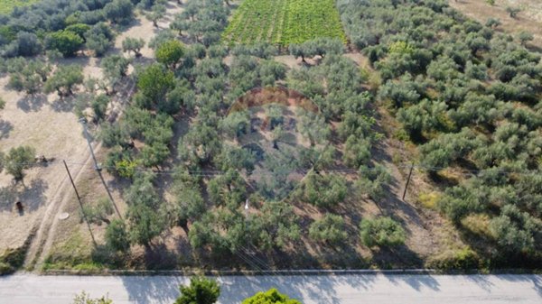 casa indipendente in vendita a Fossacesia in zona Piano Favaro