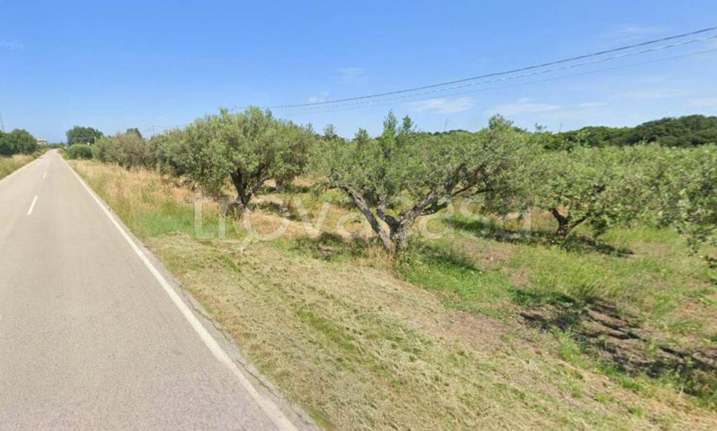 terreno agricolo in vendita a Fossacesia
