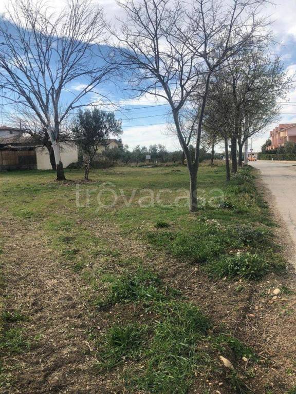 terreno agricolo in vendita a Fossacesia in zona Villa Scorciosa