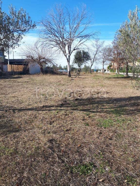 terreno agricolo in vendita a Fossacesia in zona Villa Scorciosa