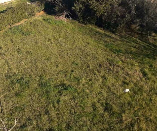 terreno agricolo in vendita a Fossacesia