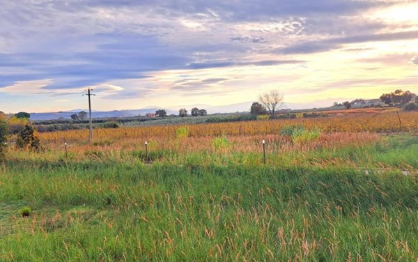 terreno agricolo in vendita a Fossacesia in zona Fossacesia Marina