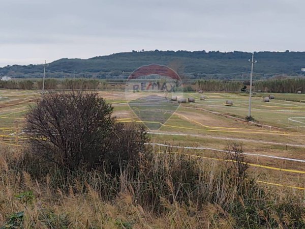 terreno agricolo in vendita a Fossacesia