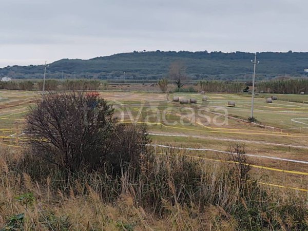 terreno agricolo in vendita a Fossacesia