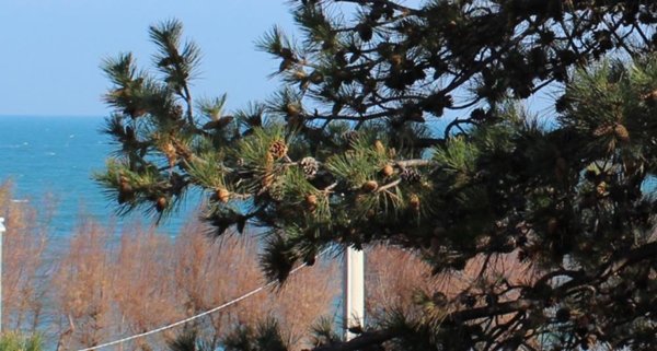 terreno edificabile in vendita a Fossacesia in zona Fossacesia Marina