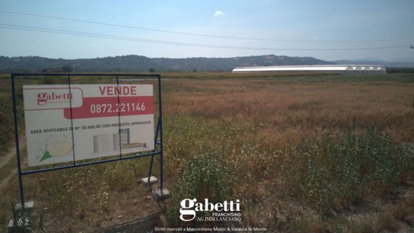 terreno agricolo in vendita a Fossacesia in zona Colle Castagna