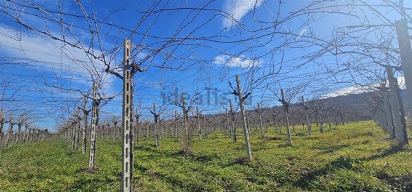terreno agricolo in vendita a Fossacesia
