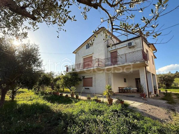 immagine annuncio 0 di 15