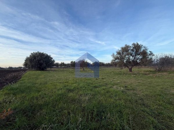 terreno agricolo in vendita a Fossacesia in zona Villa Scorciosa