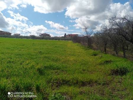 terreno agricolo in vendita a Fossacesia in zona Villa Scorciosa