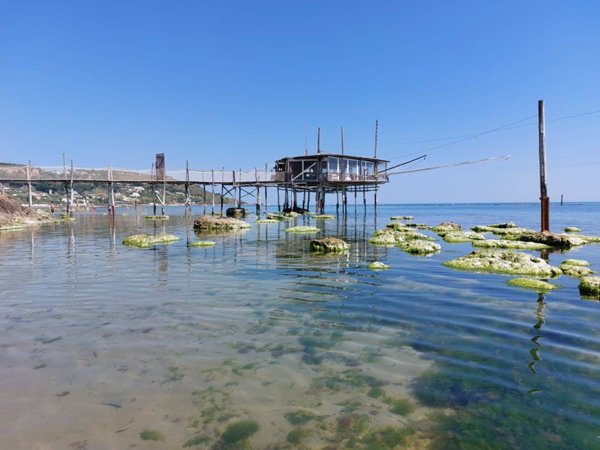 appartamento in vendita a Fossacesia in zona Fossacesia Marina