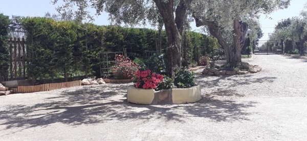 casa indipendente in vendita a Francavilla al Mare