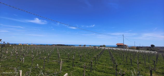 terreno agricolo in vendita a Francavilla al Mare