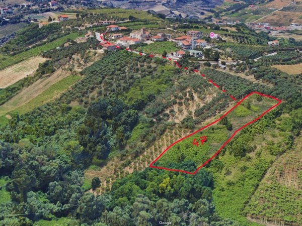 terreno agricolo in vendita a Francavilla al Mare in zona Castelvecchio