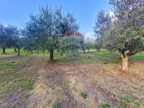 terreno agricolo in vendita a Francavilla al Mare in zona Fontechiaro