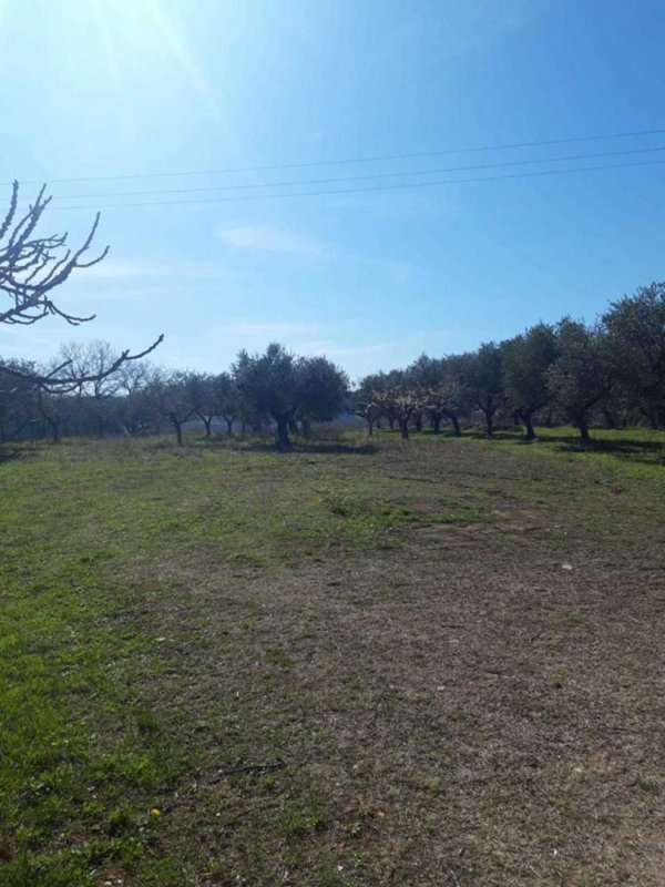terreno agricolo in vendita a Francavilla al Mare