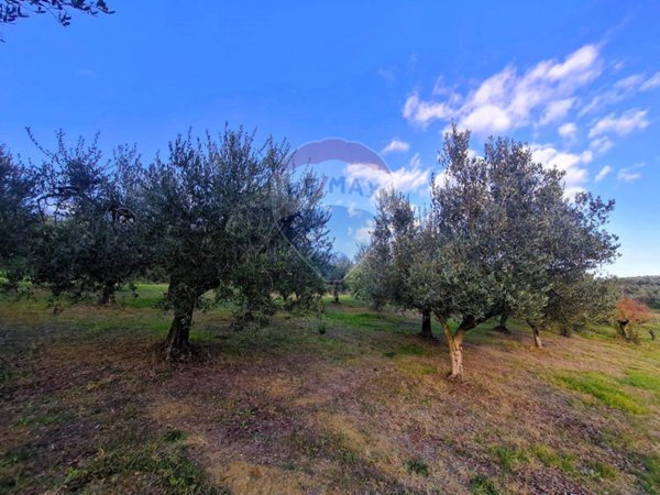 terreno agricolo in vendita a Francavilla al Mare in zona Fontechiaro