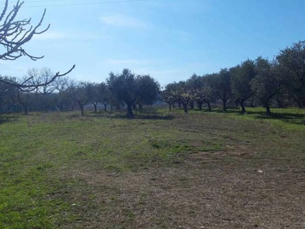 terreno agricolo in vendita a Francavilla al Mare