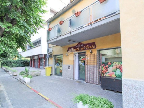 appartamento in vendita a Francavilla al Mare
